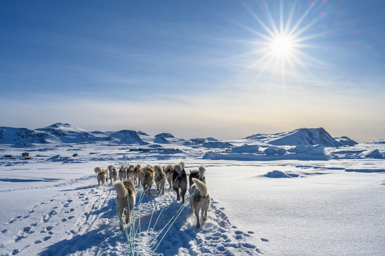 Dogsledding to Kulusuk, East Greenland.