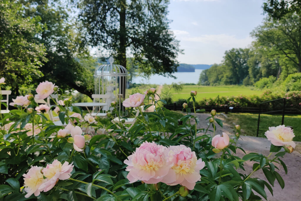 Wohls Gård