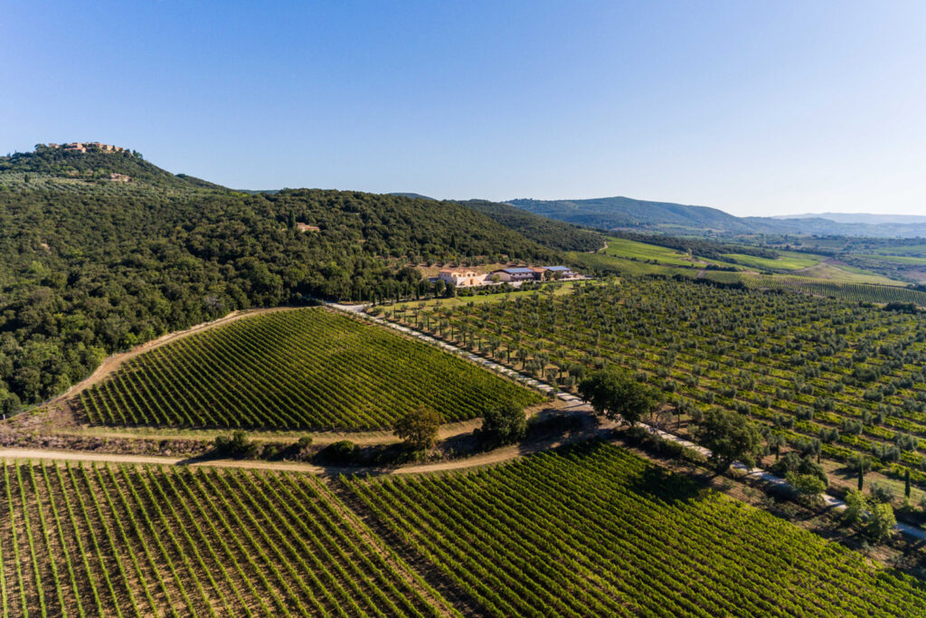 Montalcino