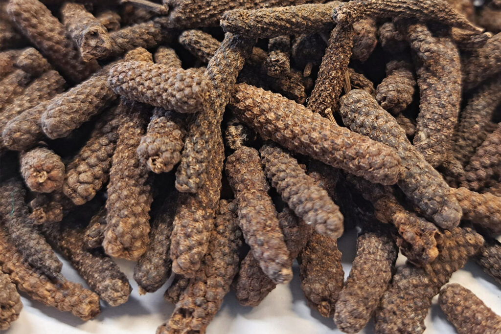 Pitkäpippuri